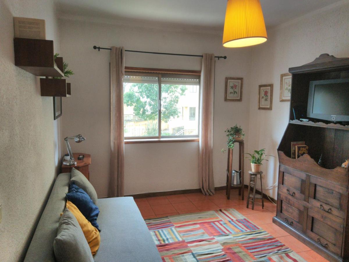 פורטו ! Free Parking Street ! Ground Floor With Washer! מראה חיצוני תמונה